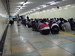 IMGP1387.jpg
