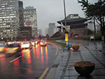 IMGP1391.jpg