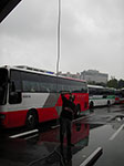 IMGP1451.jpg