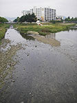 IMGP1666.jpg
