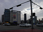 IMGP1669.jpg