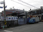 IMGP1677.jpg