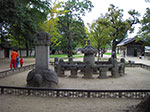 IMGP1739.jpg