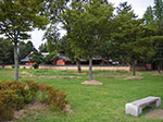 IMGP1743.jpg