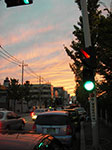 IMGP1806.jpg