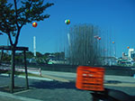 IMGP2158.jpg