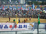 IMGP2162.jpg