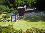 IMGP2188.jpg