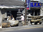 IMGP2193.jpg