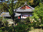 IMGP2220.jpg