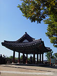 IMGP2221.jpg