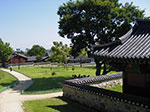 IMGP2246.jpg