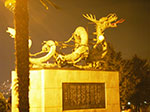 IMGP2511.jpg