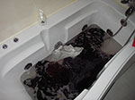 IMGP2538.jpg