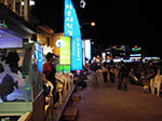 IMGP2649.jpg