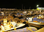 IMGP2660.jpg