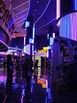 IMGP2665.jpg