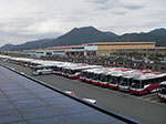 IMGP2847.jpg