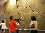 IMGP2872.jpg