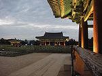 IMGP2917.jpg
