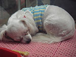 IMGP2966.jpg