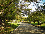 IMGP2985.jpg