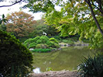 IMGP2989.jpg