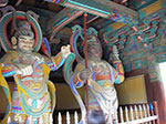 IMGP2990.jpg