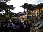IMGP2993.jpg