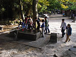 IMGP3001.jpg