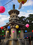 IMGP3019.jpg