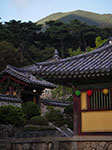 IMGP3038.jpg