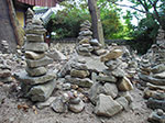 IMGP3046.jpg