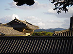IMGP3049.jpg