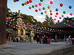 IMGP3067.jpg