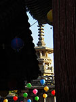 IMGP3068.jpg