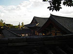 IMGP3072.jpg