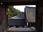 IMGP3075.jpg