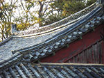 IMGP3079.jpg