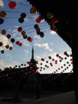 IMGP3085.jpg