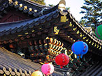 IMGP3097.jpg