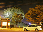 IMGP3129.jpg