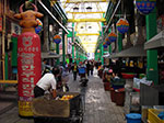 IMGP3206.jpg