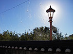 IMGP3218.jpg