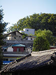IMGP3228.jpg