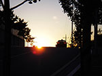 IMGP3238.jpg