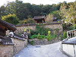 IMGP3296.jpg