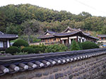 IMGP3330.jpg