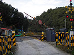 IMGP3342.jpg