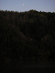 IMGP3347.jpg
